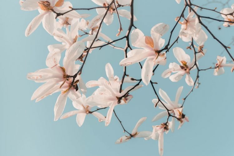 112 Mesaje De 1 Martie