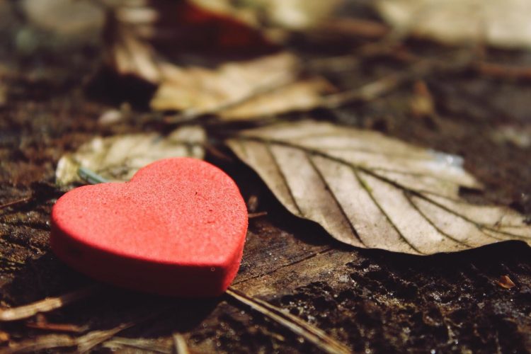 8 semne ca ti-ai gasit sufletul pereche platonic